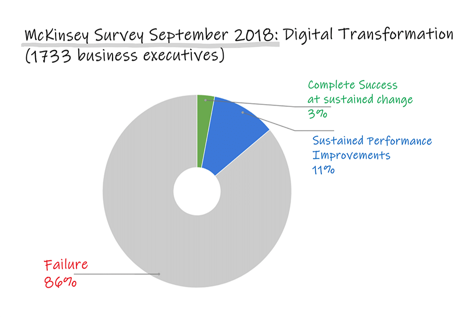 McKinsey Survey September 2018