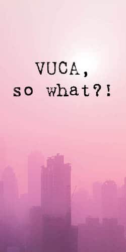 VUCA, so what?! - t2informatik Blog