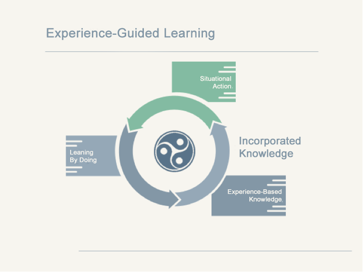 Experience-guided learning