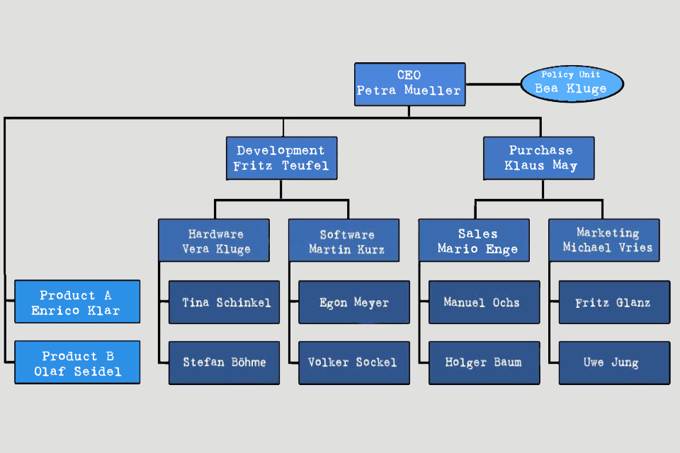 Organisation Chart - example with matrix organisation and policy unit