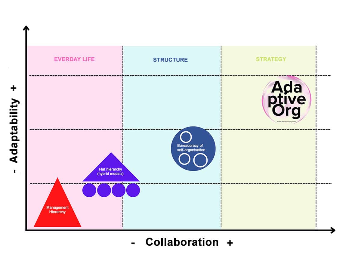 A comparison of organisational forms in terms of adaptability and collaboration