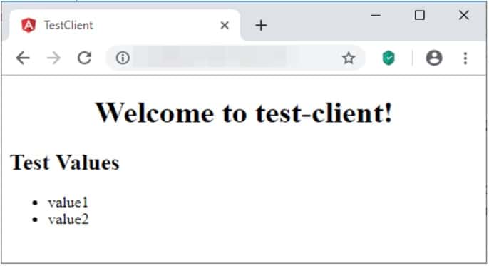 Welcome to the Test-Client.